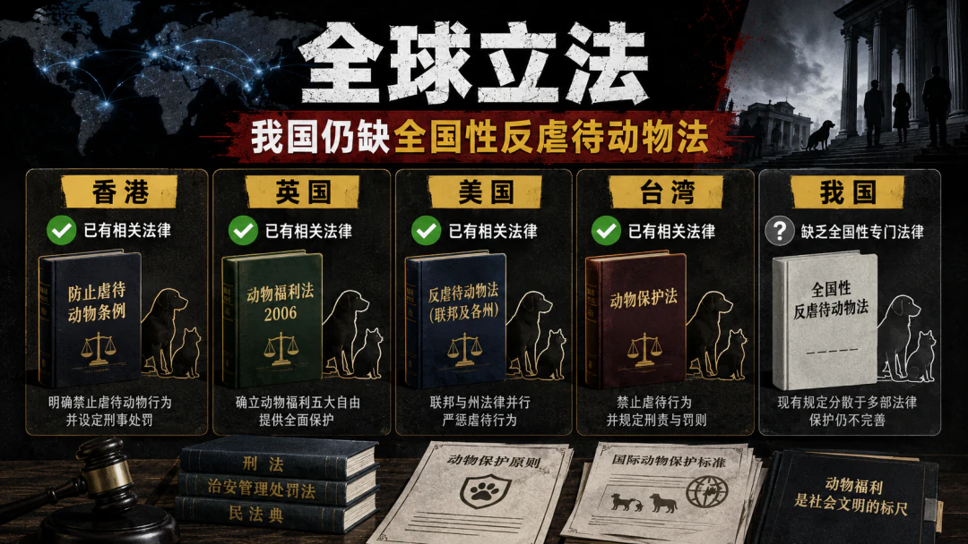 图13