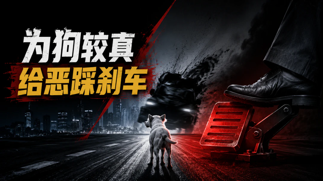 图11