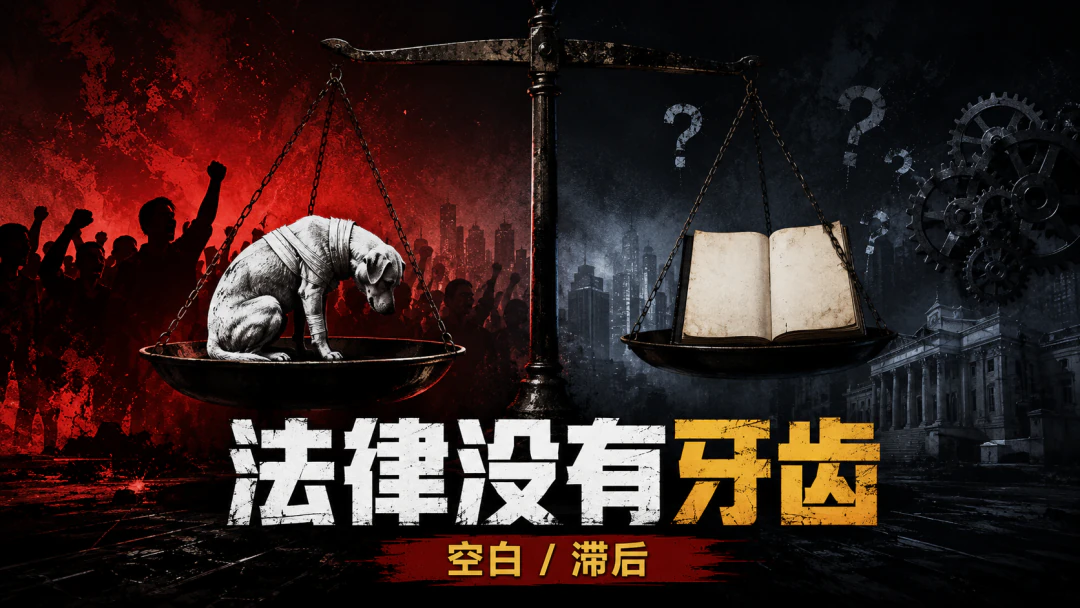 图12