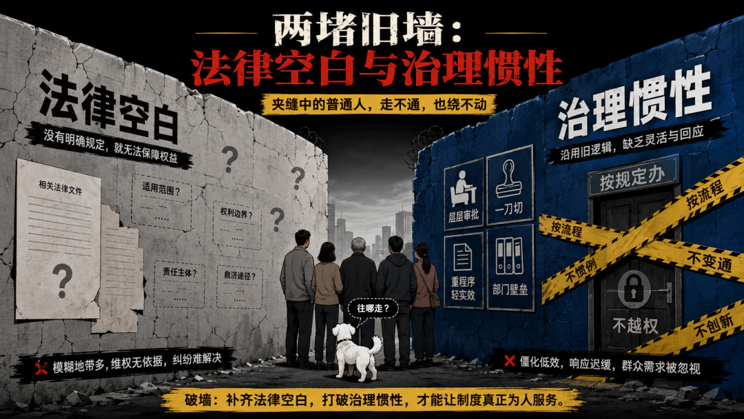 图19